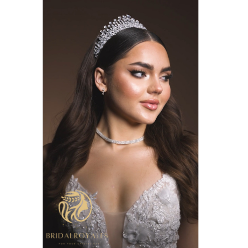Holly Zircon Bridal Crown – Luxury Crystal Wedding Tiara for Bride | Elegant Silver Bridal Headpiece | BridalRoyales™